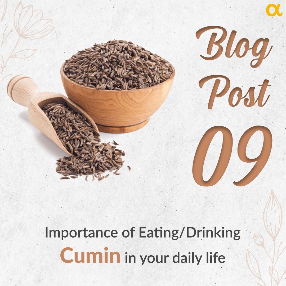 5 Powerful Benefits of Cumin - Anisue Healthcare Pvt Ltd