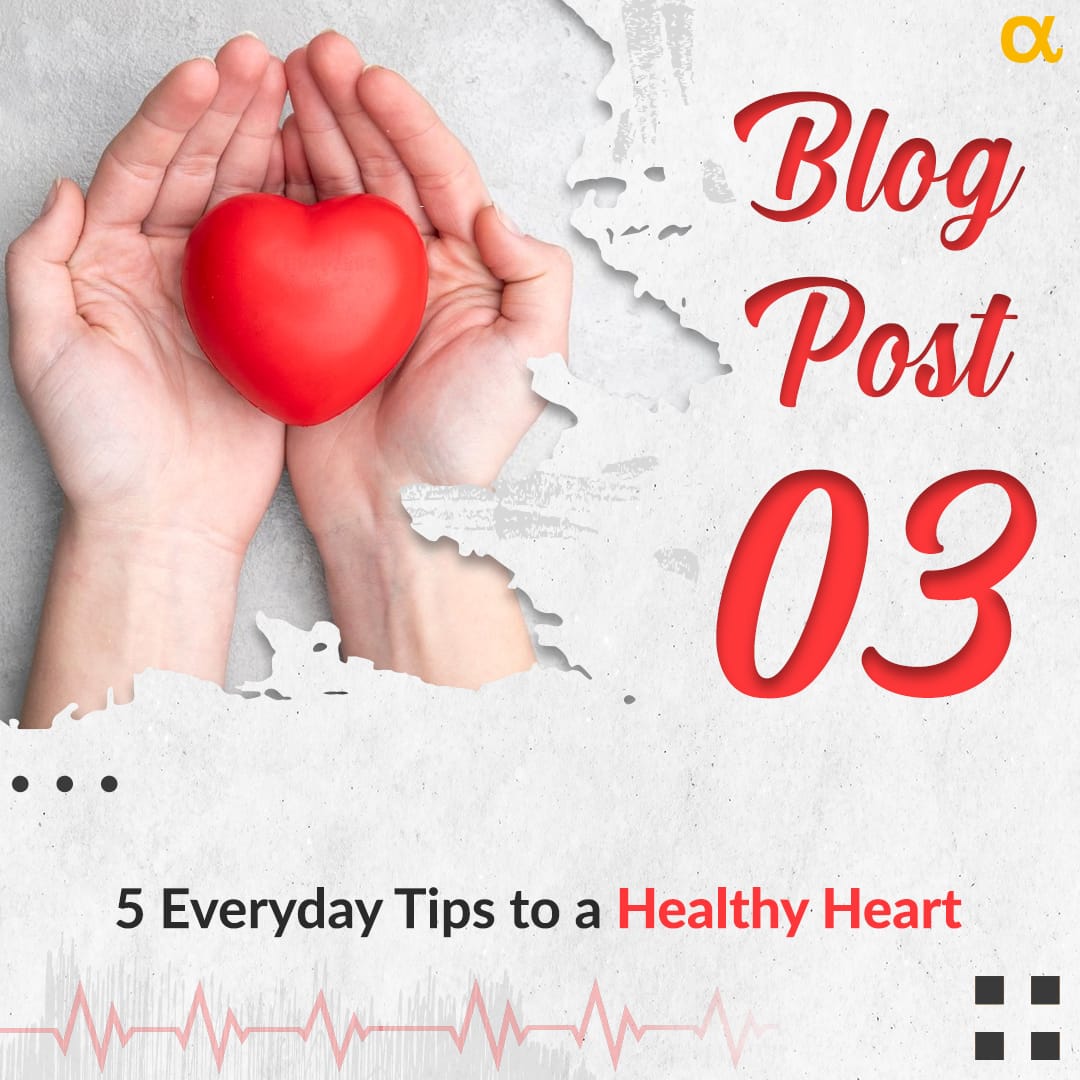 5 Everyday Tips to a Healthy Heart - Anisue Healthcare Pvt Ltd