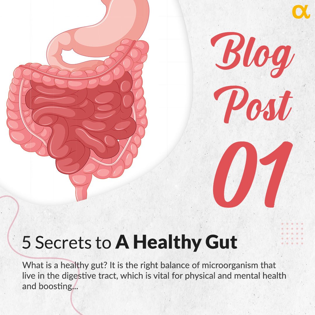 5 Secrets to a Healthy Gut - Anisue Healthcare Pvt Ltd